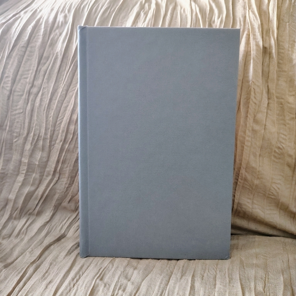 Washertown: An American Masterpiece! Hardcover Ernest Arlington Twain - Picture 6 of 10